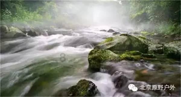 动物帮帮忙保卫家园